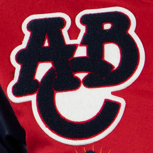 Blousons bombardiers d'hiver boutonnés College Letterman pour hommes veste de baseball à manches en cuir et en laine brodée sur mesure - Product Image 4