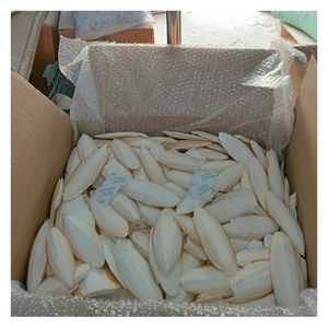 <b>Clean</b> and Sun-Dried Cuttlefish Bone for Pet Feeding, Eco-Friendly Marine <b>Product</b> for Daily Use in Aviaries - Product Image 5