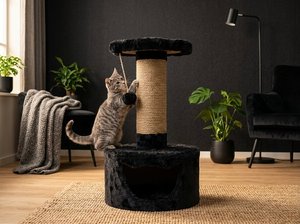 Nichoir Fleur de Minuit pour Amis Felins Urbains Sophistiqués - Product Image 5