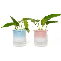 Pot Tanaman Hidroponik Modern Ramah Lingkungan Biru Pink Putih dengan Reservoir Kaca Transparan untuk Dekorasi Meja Rumah atau Kantor