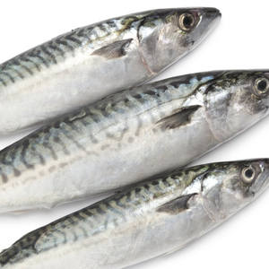 Pescado Entero Congelado de Alta Calidad, 200-400g, Envasado al Vacío - Product Image 2