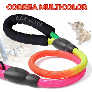 Collier-laisse rembourré anti-traction en nylon pour petits chiens, à libération rapide, rayé, pour la promenade et l'entraînement, tailles 3m et 5m, en PVC durable - Product Image 3