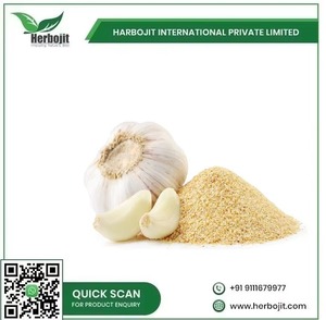 Polvo de ajo deshidratado de alta calidad 100% especias naturales y puras para cocinar y condimentar DE LA India - Product Image 6