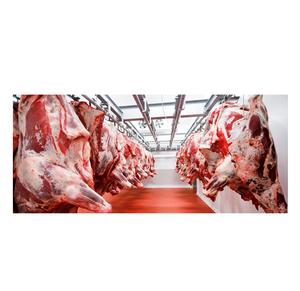 Viande de bœuf conique fraîche congelée HALAL - Product Image 3