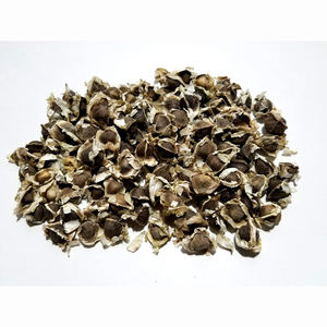 Polvo de Extracto de Hoja y Semilla de Moringa Herbal, Verde Claro, Origen Bélgica, 12 Meses de Duración - Product Image 2