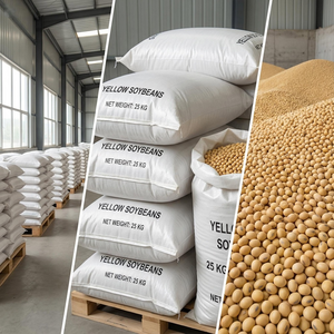 Soja Amarilla a Granel para Exportación, Grado 50% de Proteína, Humedad Máxima 10%, Vida Útil de 2 Años, para Alimentos, Piensos y Procesamiento de Aceite, Bolsas de 25 kg, Alemania - Product Image 1