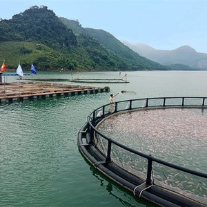 Customizable HDPE Plastic Fishing Cage Secure Aquatic Research Center Net Material Vietnam Manufacturer <b>Aquaculture</b> <b>Trap</b> - Product Image 5