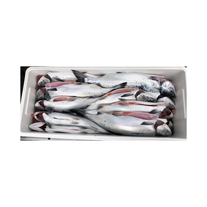 Poisson ruban frais de la meilleure qualité disponible en vrac aux prix les moins chers - Product Image 1