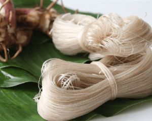 วุ้นเส้นจากข้าวเกรดส่งออกสูตรบริสุทธิ์แพ็คเป็นมิตรต่อสิ่งแวดล้อม - Product Image 2