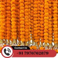 Guirlande décorative bohème faite à la main en marguerites artificielles avec pompons pour anniversaire, mariage, événement, Pooja, Mandap, scène, et guirlandes florales