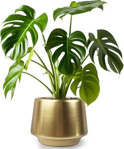 Étagère de présentation de salon en fer forgé antique nordique moderne avec porte-fleurs décorative pour la maison au meilleur prix - Product Image 1