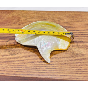 Accessoires de décoration de luxe en nacre, ensemble de vaisselle en coquille de nacre, ornement de table en nacre naturelle, décoration de cuisine à domicile en provenance du Vietnam - Product Image 5