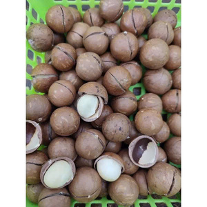 Nueces de Macadamia secas blanqueadas con cáscara crujiente natural o salada OEM/ODM venta al por mayor exportación a granel Vietnam Etiqueta Privada - Product Image 5