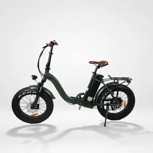 핫 세일 OEM 접이식 자전거 electricas/48V 1000W 운동 ebike 전기 사이클/20 인치 접이식 자전거