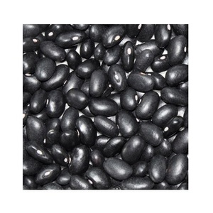 Wholesale Price Supplier of Organic Dried Black <b>Kidney</b> <b>Beans</b> Bulk Stock With Fast Shipping - Product Image 5