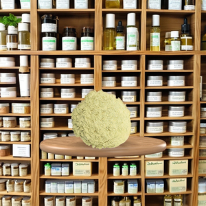 Haute qualité prix usine Ampelopsis Cantoniensis extrait de poudre jaune sèche herbes naturelles forme Vietnam - Product Image 6