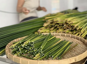 Pajitas de hierba de alta calidad para beber a granel, exportación desde Vietnam - Product Image 6