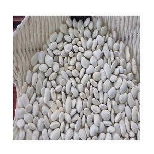 Haricots blancs sains de haute qualité naturels pour la vente - Product Image 6