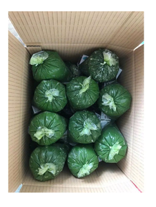 Daun Singkong Beku Kualitas Premium IQF Daun Manioc Daun Tapioka Ekspor dari Vietnam // Ms. Kana