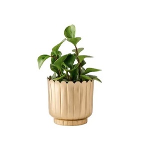 Macetas de metal para el hogar y el jardín, decorativas, resistentes a la intemperie, tamaños personalizados disponibles, macetas de alta exigencia - Product Image 6