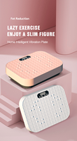 Plaque vibrante électrique portable mini la plus vendue pour usage domestique, compacteur vertical ABS pour le corps entier, fitness et amincissement