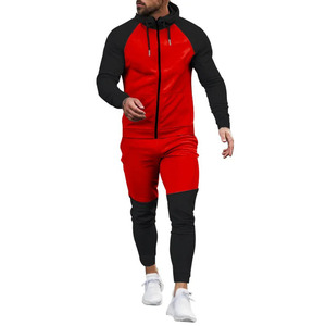 Vêtement de sport décontracté pour homme, ensemble de survêtement personnalisé à capuche, couleur unie, vente en gros OEM, automne-hiver - Product Image 2