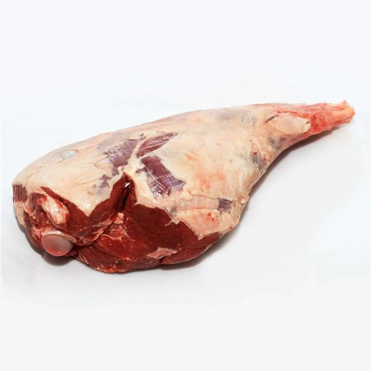 Agnello congelato agnello congelato pecora montone carne Top Body lampada a prezzo basso intero di vendita