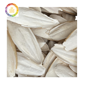 Produit dérivé naturel de fruits de mer d'os de seiche cru du Vietnam pour une utilisation artisanale, soin des oiseaux, amendement du sol et matériau de calcium industriel - Product Image 5