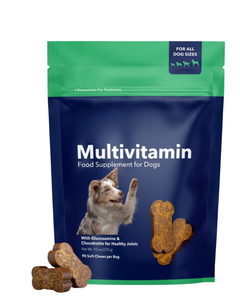 Fórmula Completa Natural 10 en 1, Masticables Multivitamínicos para Perros y Gatos, Suministro OEM ODM, Probióticos 4B, Apoyo Inmunológico, Absorción Rápida, Suaves - Product Image 2