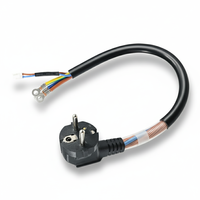 Câble d'alimentation de 2 m avec capteur de température pour le contrôle du chauffage et la connexion des appareils, prise Schuko 250 V vers extrémité de câble