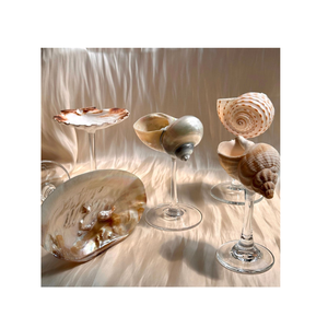 Verres à vin coquillage de qualité supérieure: charme côtier pour maisons et événements élégants faits à la main, modernes, en vrac chaud 2025 - Product Image 1