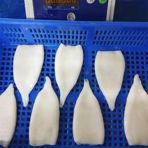 Tubo di Calamaro Fresco Personalizzato per Esportazione Cina-Argentina Pacifico - Prezzo Scontato U5 - Product Image 3