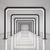 Tunnel lumineux LED pour toit de voiture convertible, éclairage pour l'entretien des toitures et les ateliers de detailing automobile, IP54, approvisionnement en gros