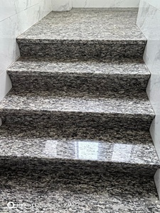 <span class=keywords><strong>Escaleras</strong></span> de Granito con Diseño de Ondas Marinas Personalizadas, Antideslizantes, Populares para Interiores y Exteriores - Product Image 4