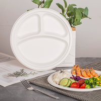 Trois assiettes à dîner biodégradables à partir de résidus de canne à sucre jetables écologiques pour le camping en bagasse