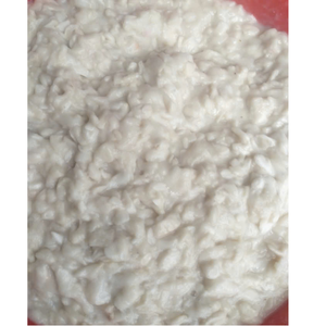 Guanábana congelada de Vietnam cuidadosamente procesada para máxima frescura, adecuada para minoristas de alimentos y distribuidores a granel - Product Image 1