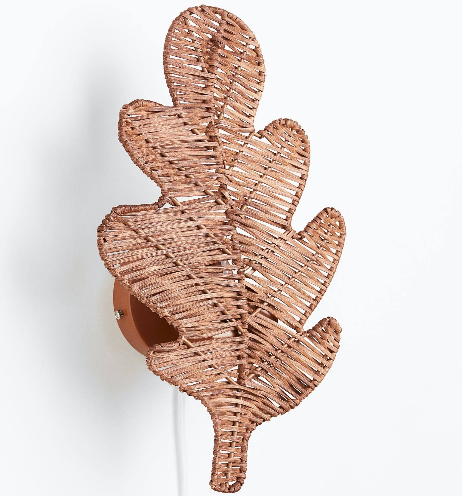 สีน้ำตาล