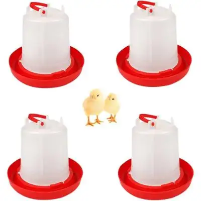 Alimentatore di pollo automatico con design confortevole per la transizione dei pulcini