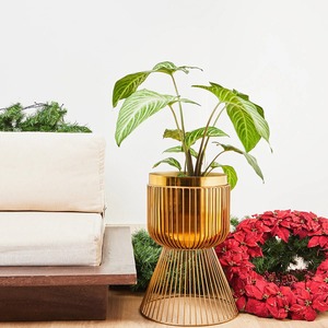 Jardinera de metal redonda minimalista con acabado negro liso, ideal para casas contemporáneas, oficinas y jardines interiores - Product Image 4