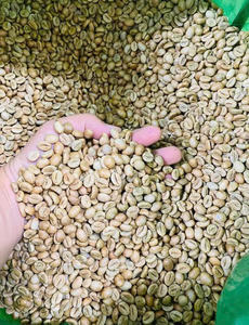 HANCOFFEE 2025 CROP Granos de Café Arábica Verdes - Venta al por Mayor Más Barata - Empaquetados en Bolsas de 60 kg/ Bolsa de Polipropileno/Bolsa de Yute - Muestra Gratis - Product Image 4