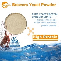 Levure nutritionnelle pour animaux Levure de bière et levure de bière séchée pour l'alimentation animale