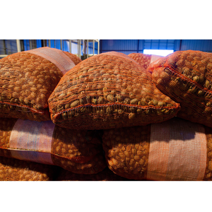 Precio al por mayor Directo de fábrica Venta caliente Nueces de pacana secas medianas Nueces de pacana recién recogidas a granel para bocadillos. - Product Image 3