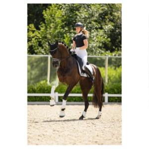 Botas de Protección para Caballos de Cuero PU Impermeable, Forro de Poliéster Transpirable, para Entrenamiento, Duraderas - Product Image 5