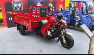 Tricycle électrique à 3 roues Zongshen, économique, pour le transport de marchandises, carrosserie ouverte - Product Image 2