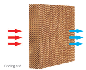 แผ่นทำความเย็นสำหรับสุกรขายดี ออกแบบเป็นรูปทรงรังผึ้ง ใช้ในฟาร์มปศุสัตว์ ทำจากเซลลูโลส - Product Image 5