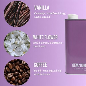 Lessive liquide concentrée à base de plantes 32oz 50 lavages Parfum inspiré des créateurs Écologique Vente en gros OEM - Product Image 3