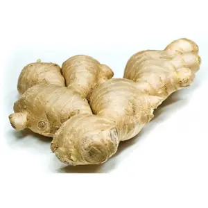 High Quality Dried and fresh Ginger Ginger For wholesale price rate