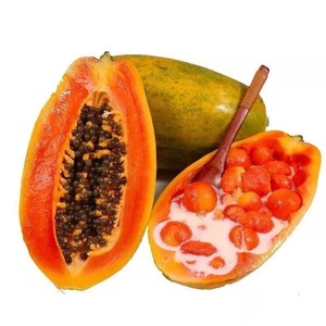 Graines de Papaye - Product Image 6