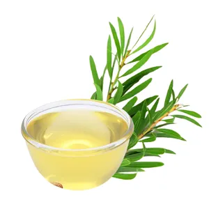 Wholesale Tea Tree Oil 100% Natural Essential Oil for Prevent Acne & Pimples Multi Purpose Essential oil Suppliers