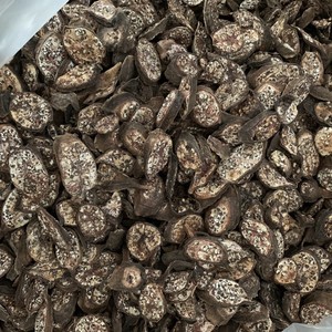 BANANA MONTAÑA SALVAJE/SECA LIMPIA/FRUTA NATURAL - Product Image 6